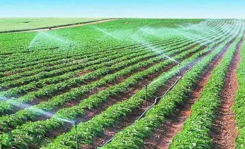 看又粗又大操屄视频农田高 效节水灌溉